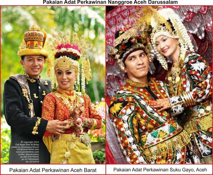 17+ Pakaian Adat 34 Provinsi Beserta Gambarnya Sketsa  Kumpulan Gambar