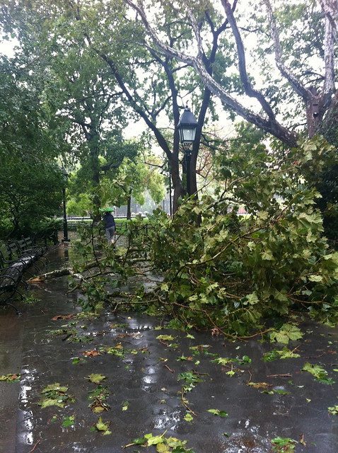 Aftermath of Irene: The View from Greenwich Village