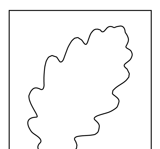 Oak Leaf Drawing Easy - FOTO ~ IMAGES