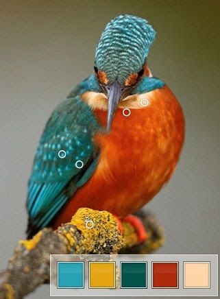 http://www.pinterest.com/pin/58828338857224626/ TEAL color schemes for rooms - This is pretty much the colour scheme for my dining room... but stuck on what to do with adjoining living and kitchen!