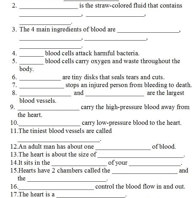 the-circulatory-system-worksheet-answer-key-fill-in-the-blank-worksheet