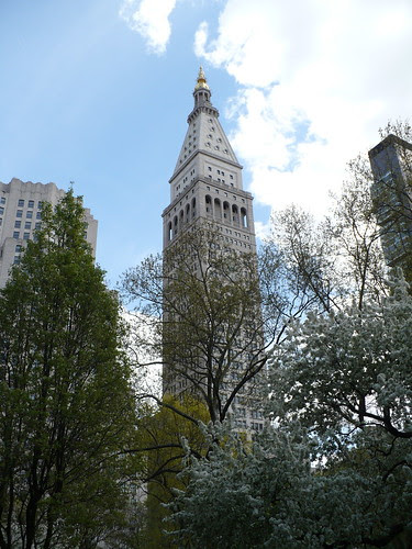 P1040243