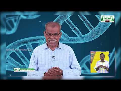 வகுப்பு10 அலகு18 பகுதி 2 அறிவியல் மரபியல் Kalvi TV