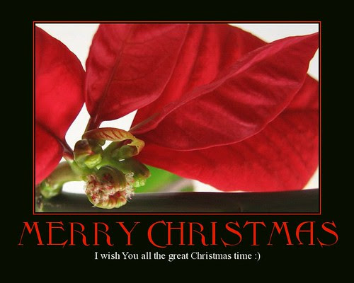 Maligayang Pasko! Image source: Krystyna Kasmil