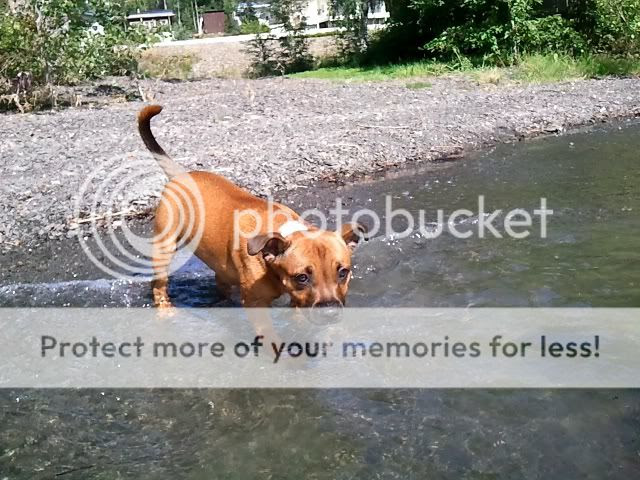 Photobucket