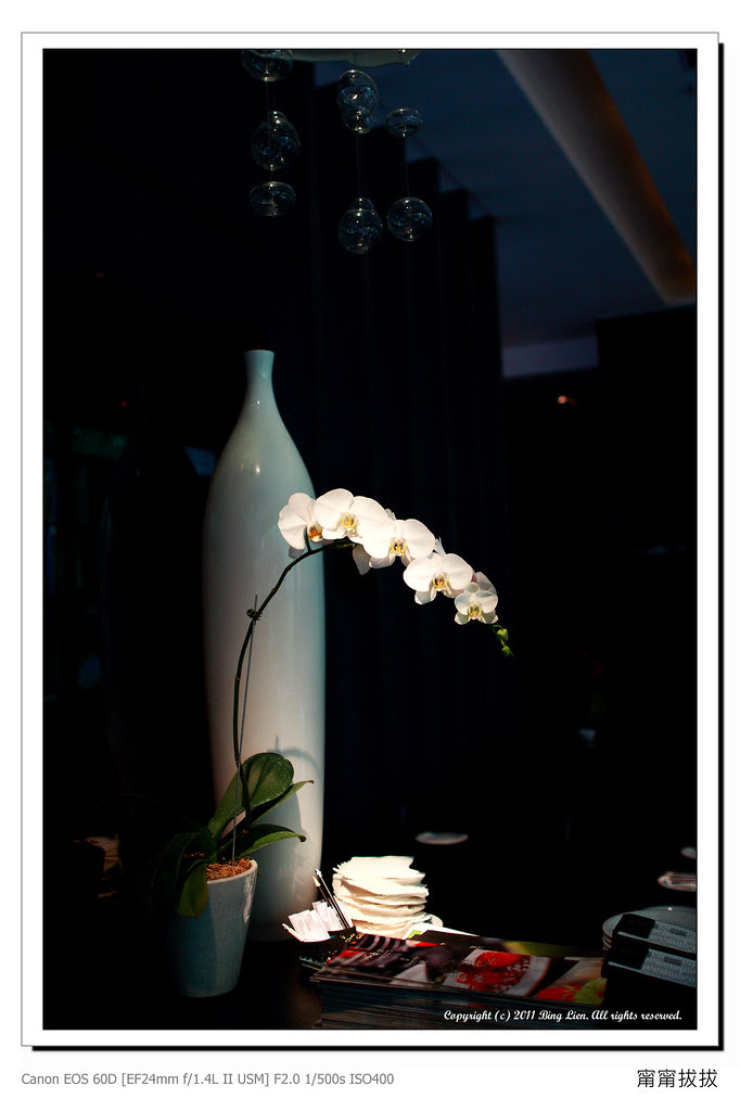 nEO_IMG_IMG_7071