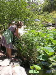 Debra investigating the flowers in the pond