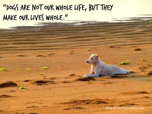 Quotes About Losing A Dog. QuotesGram Quotes About Losing A Dog. QuotesGram