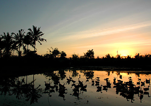 Ubud