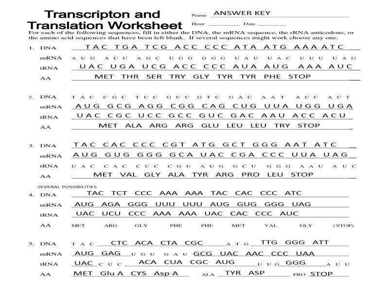 transcription-worksheet-answers-worksheet