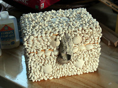My seashell box