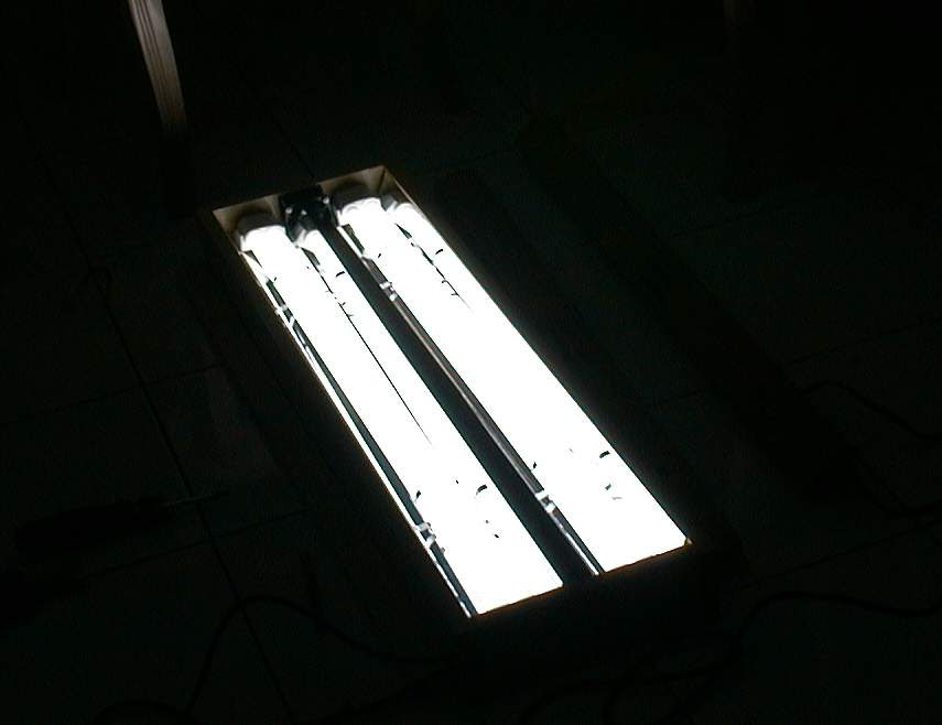 Diy Aquarium Canopy Hood And Light Plans HomeDesignPictures