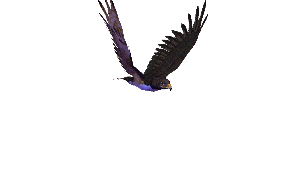 SOAL-SOAL SDLB: Gambar gerakan simbolis burung terbang