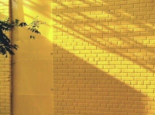 Aesthetic Landscape Yellow | landscape background