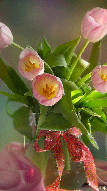 Розовые тюльпаны в стеклянном графине
