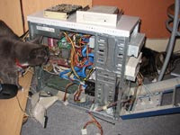 More advice from the cats - after removing superfluous peripheral devices