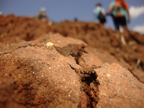 cracked dirt with people in distance