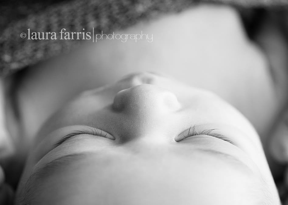boise newborn photographer