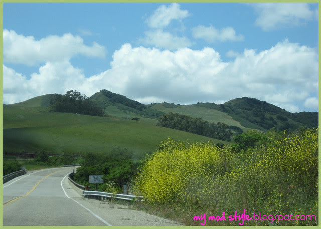 california driving 5 15 2011