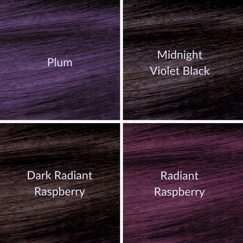 Cool Midnight Violet Black Hair Color Ion - Sanontoh