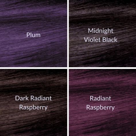 Cool Midnight Violet Black Hair Color Ion - Sanontoh
