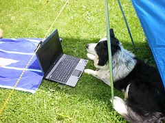 Webber achter de computer