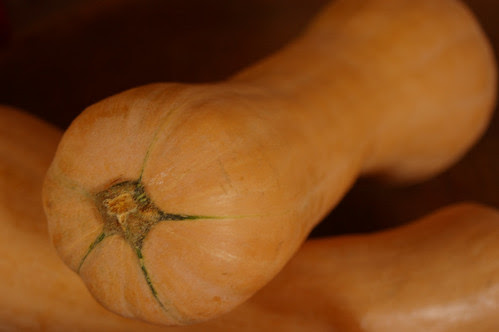 zucca