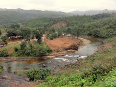 DSC07839.JPG