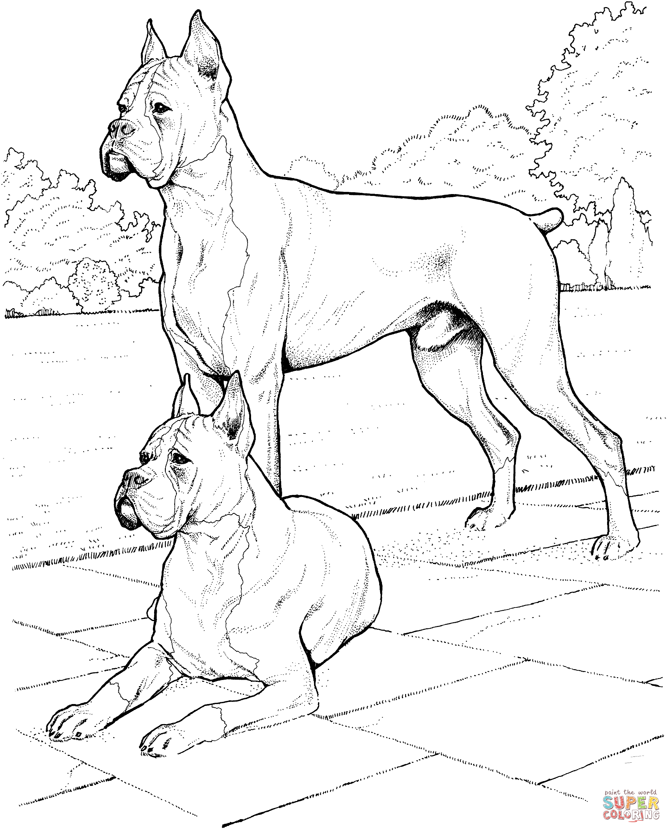 Как рисовать дог дея. Кане Корсо. Раскраска "собаки". Картинка собака раскраска. Раскраска собачка.