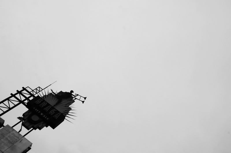 DSC_7883_1024679_800530