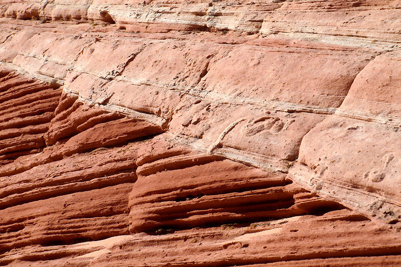 Cross Bedding Cross Bedding