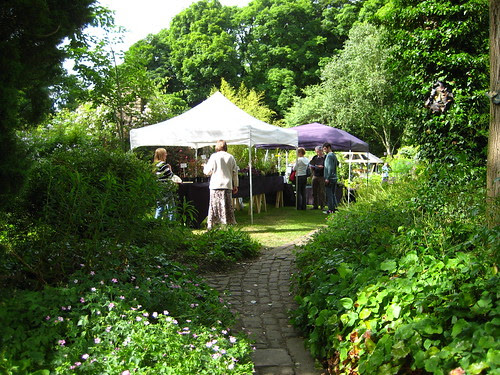 plants stalls1
