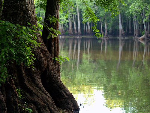 Hickson Lake