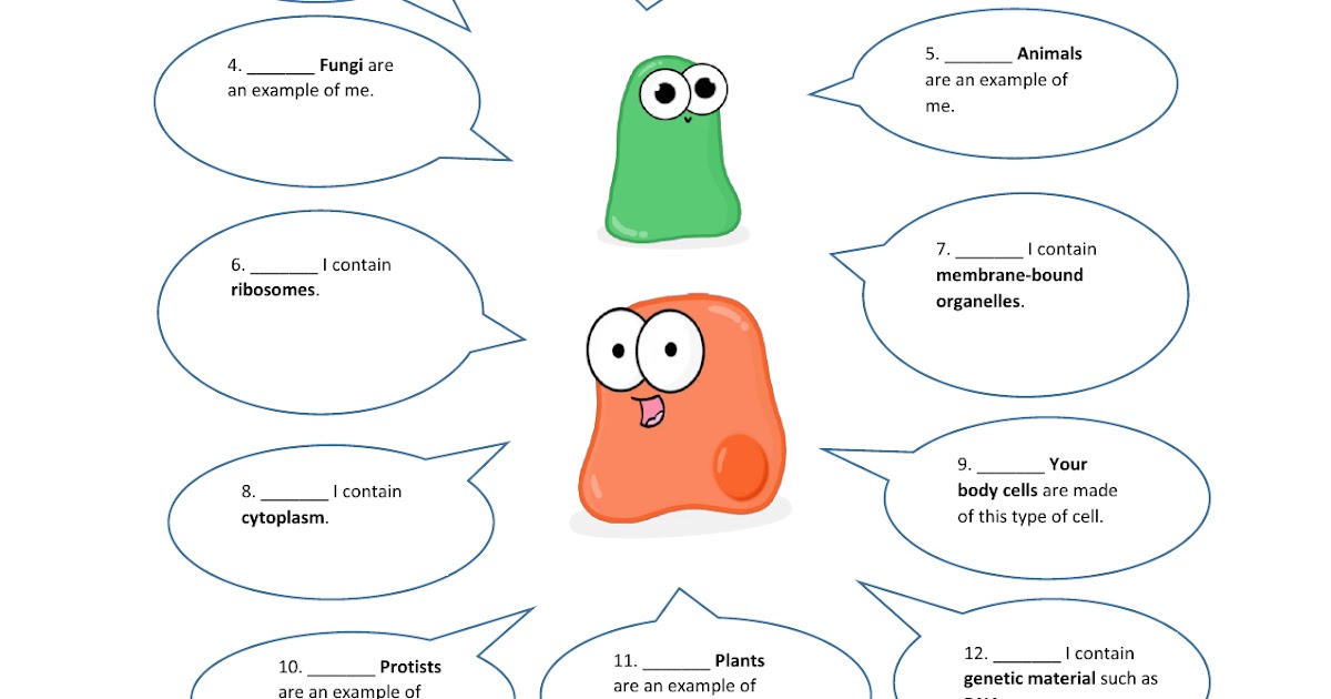 amoeba-sisters-alleles-and-genes-worksheet-dna-chromosomes-genes-and-traits-an-intro-to