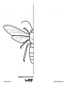 Arthropod Coloring Worksheet Answers - worksheet