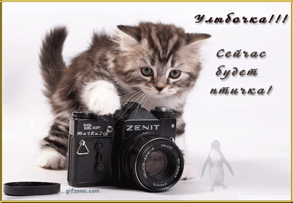 С 1 Апреля