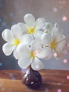 Красивые,белые цветы стоят в вазе.