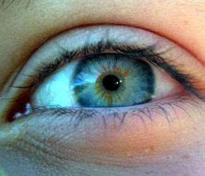 Human Eye