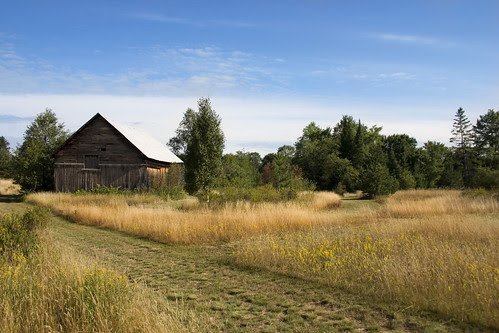 The Older Riverwood Barn