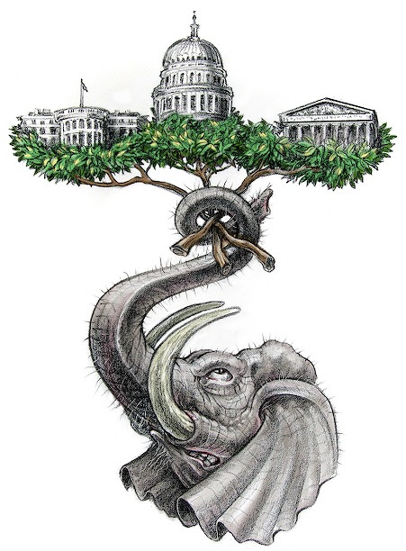 Executive Branch Legislative Branch Drawing