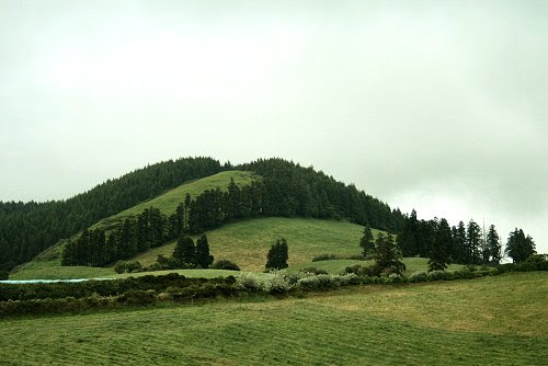 20090610-vs-8455
