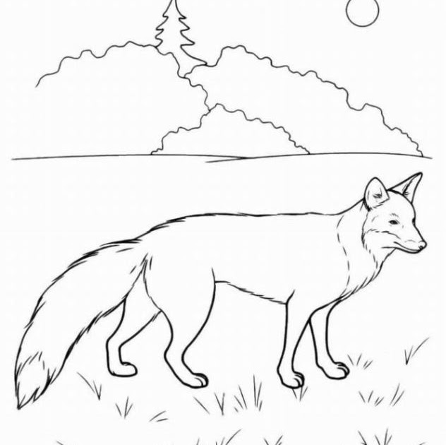 Malvorlage Fuchs Fuchs Bilder Zum Ausdrucken Malvorlagen Zum Ausmalen