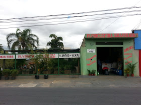 Floricultura Silverata