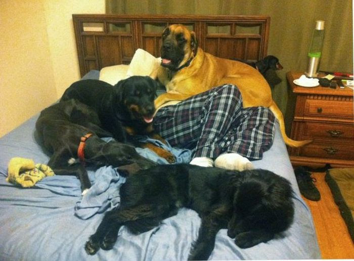 Acid Picdump (88 pics) Acid Picdump (88 pics)