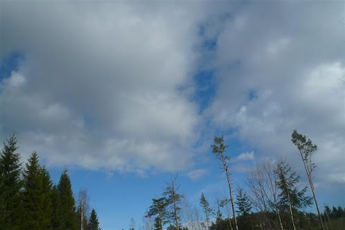 P1290351