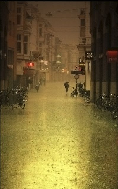Rain | © Frans Peter Verheyen