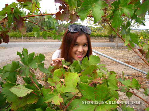 hiding among vines