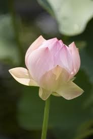 images (13)