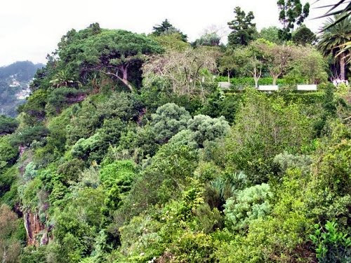 20100418-rq-jardimbotanico-02