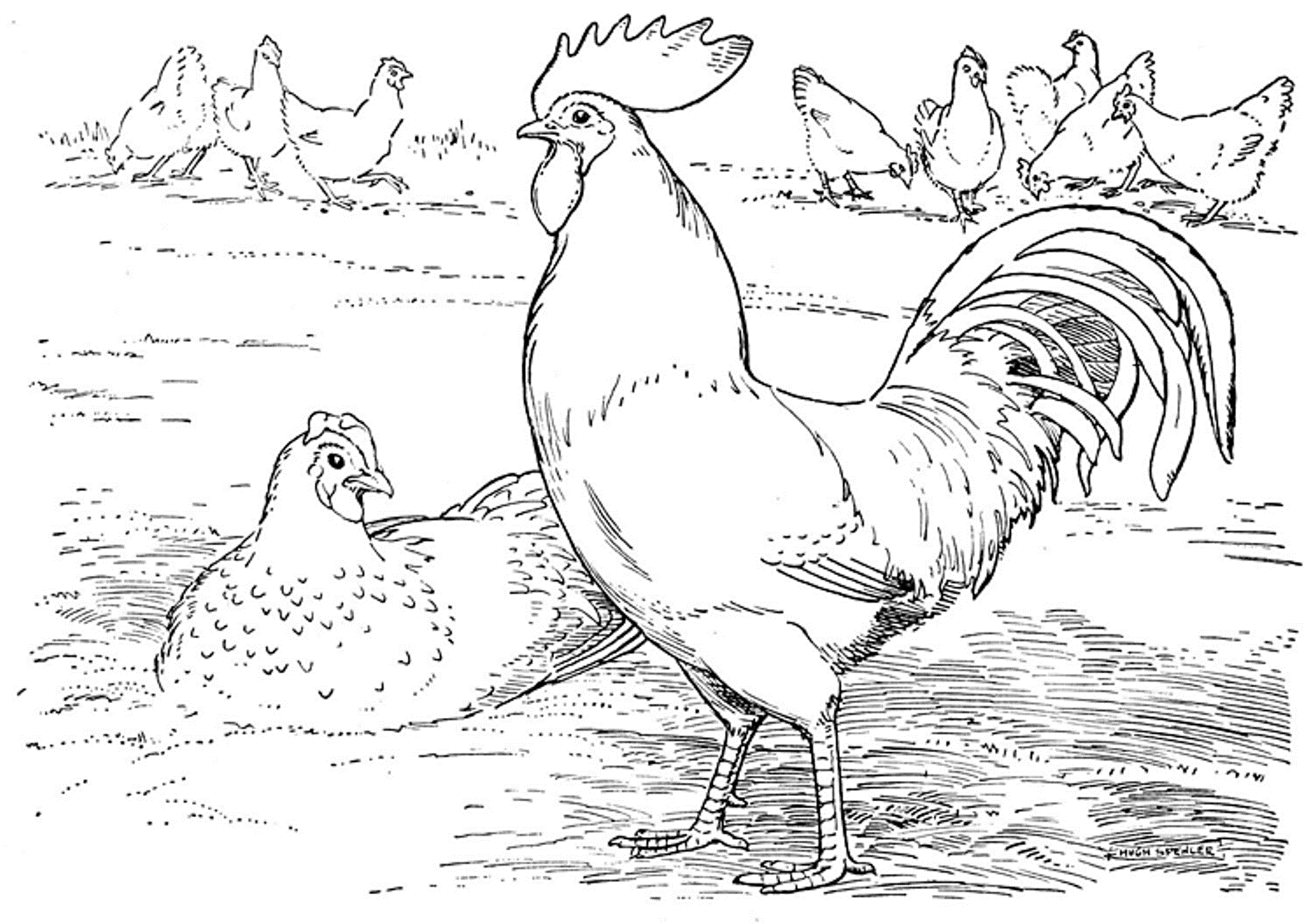 Farm Coloring Pages Preschool Coloring Home Farm Coloring Pages Preschool Coloring Home